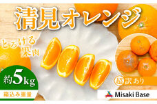 【先行受付】【※超訳あり】清見オレンジ 5kg ※離島への配送不可 （2026年3月中旬より順次発送）  【 ふるさと納税 人気 おすすめ ランキング みかん 柑橘 ミカン 蜜柑 mikan 果物 清見 清見オレンジ フルーツ 糖度 甘い きよみ タンゴール 温州 オレンジ 家庭用 おすそ分け 訳あり Misaki Base 愛媛県 伊方町 送料無料 】 IKTAB009 