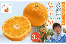 【先行予約】【家庭用】伊予柑 3kg ※北海道・沖縄・離島への配送不可 （2026年1月中旬より順次発送予定）  【 ふるさと納税 人気 おすすめ ランキング 柑橘 みかん ミカン 伊予甘 フルーツ 果物 OKUBO FARM 愛媛県産 家庭用 愛媛県 伊方町 送料無料 】 IKTAT004