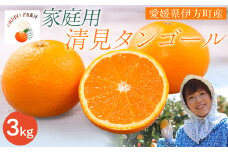 【先行予約】【家庭用】清見タンゴール 3kg ※北海道・沖縄・離島への配送不可（2026年3月中旬より順次発送） 【 ふるさと納税 人気 おすすめ ランキング 柑橘 みかん ミカン 清見タンゴール 清見 フルーツ 果物 OKUBO FARM 愛媛県産 家庭用 愛媛県 伊方町 送料無料 】 IKTAT005