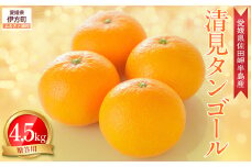 【先行予約】【農家直送】愛媛県産 清見タンゴール 贈答用 4.5kg（2026年3月上旬～4月中旬頃発送予定） 【 ふるさと納税 人気 おすすめ ランキング 柑橘 蜜柑 みかん ミカン 果物 フルーツ 清見 清見タンゴール オレンジ 贈答 贈り物 贈答用 ギフト 愛媛県 伊方町 送料無料 】 IKTC007