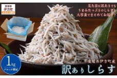 訳ありしらす 1kg  【 ふるさと納税 人気 おすすめ ランキング しらす シラス おかず ご飯 ご飯のお供 おにぎり 訳あり 愛媛県 伊方町 送料無料 】 IKTB016 