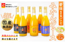 【皮までまるごと国産無添加】ジュース3種6本セット（720ml×6本） 【 ふるさと納税 人気 おすすめ ランキング みかん ミカン 蜜柑 みかんジュース ジュース ミカンジュース オレンジジュース フルーツ 果物 セット 詰合せ ニュウズ 愛媛県 伊方町 送料無料 】 IKTF010