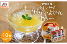 うまいがぜ伊方いよかんゼリー（10個入り） 【 ふるさと納税 人気 おすすめ ランキング みかん ミカン 蜜柑 ゼリー ミカンゼリー みかんゼリー 飲むゼリー クリエイト伊方 愛媛県 伊方町 送料無料 】 IKTI003 