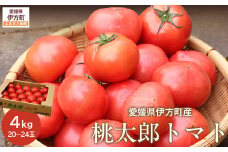 【産地直送】愛媛県伊方町産 桃太郎トマト（4kg、20～24玉） 【 ふるさと納税 人気 おすすめ ランキング みかん ミカン 蜜柑 桃太郎 トマト 桃太郎トマト 産地直送 クリエイト伊方 愛媛県産 愛媛県 伊方町 送料無料 】 IKTI007 