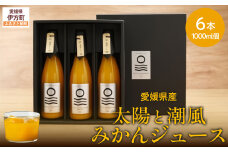 【先行予約】【愛媛県産】太陽と潮風みかんジュース（720ml×3本） 果汁100％（2025年12月より発送予定）【 ふるさと納税 人気 おすすめ ランキング みかん ミカン 蜜柑 ジュース みかんジュース ミカンジュース クリエイト伊方 愛媛県 伊方町 送料無料 】 IKTI010 