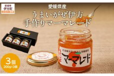 【愛媛県産】うまいがぜ伊方手作りマーマレード（200g×3個） 【 ふるさと納税 人気 おすすめ ランキング マーマレード いよかん 伊予柑 みかん ミカン 蜜柑 クリエイト伊方 愛媛県産 愛媛県 伊方町 送料無料 】 IKTI012 
