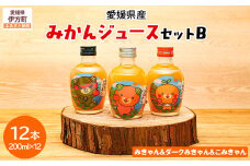 みかんジュースセットＢ 200ml×12本 ※北海道、沖縄・離島への配送不可 【 ふるさと納税 人気 おすすめ ランキング 飲料 飲み物 ソフトドリンク 果物 フルーツ 柑橘 ミカン 国産 ミカンジュース みかんジュース ギフト おすそ分け お土産 贈り物 プレゼント 愛媛県 伊方町 送料無料 】 IKTI019 