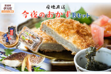 【産地直送】今夜のおかずBセット 鯛の一夜干し 切身（2尾）、アカモク（200g）、じゃこかつ（3枚入り×2） 【 ふるさと納税 人気 おすすめ ランキング 鯛 鯛一夜干し 一夜干し 切身 アカモク あかもく じゃこかつ 海鮮 魚介 魚 セット 詰合せ 愛媛県 伊方町 送料無料 】 IKTO001 