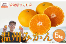 【先行予約】【数量限定】温州みかん5kg（石崎農園）※離島への配送不可 （2025年11月25日より順次発送予定） 【 ふるさと納税 人気 おすすめ ランキング 柑橘 みかん 温州みかん ミカン mikan 蜜柑 果物 フルーツ 愛媛県産 石崎農園 愛媛県 伊方町 送料無料 】 IKTAG001 