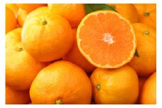 【先行予約】【数量限定】田縁農園の温州みかん（生果）5kg （2025年11月10日より順次発送） 【 ふるさと納税 人気 おすすめ ランキング みかん ミカン 蜜柑 温州みかん 温州ミカン フルーツ 果物 愛媛県産 田縁農園 愛媛県 伊方町 送料無料 】 IKTA002