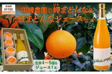 【先行予約】【数量限定】田縁農園の岬（はな）まどんな生果＆紅まどんなジュースセット （2025年12月10日より順次発送） 【 ふるさと納税 人気 おすすめ ランキング みかん ミカン 蜜柑 まどんな はなまどんな 紅まどんな オレンジ ジュース オレンジジュース セット フルーツ 果物 愛媛県産 田縁農園 愛媛県 伊方町 送料無料 】 IKTA004