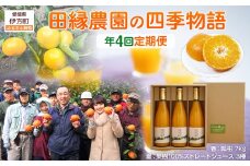 【年4回定期便】【愛媛県産】田縁農園の四季物語　春：瓢柑（7kg） 夏：果樹100%ストレートジュース（720ml×3本 / みかん、せとか、不知火） 秋：早生みかん（10kg）、冬：甘平（2kg） 【 ふるさと納税 人気 おすすめ ランキング ジュース みかんジュース 蜜柑 フルーツ 果物 セット ギフト 愛媛県 伊方町 送料無料 】 IKTA010