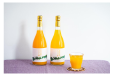 【愛媛県産】田縁農園の無添加100% せとか・甘平ジュース2本セット（720ml×2本/せとか1、甘平1）ストレート果汁100％ 【 ふるさと納税 人気 おすすめ ランキング ジュース みかんジュース オレンジジュース ミカン みかん 蜜柑 せとか 甘平 オレンジ フルーツジュース フルーツ 果物 セット 詰合せ 贈り物 贈答 ギフト 愛媛県 伊方町 送料無料 】 IKTA011