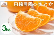 【先行予約】【数量限定】田縁農園のせとか3kg ※離島への配送不可 （2026年3月5日より順次発送） 【 ふるさと納税 人気 おすすめ ランキング みかん ミカン 蜜柑 せとか フルーツ 果物 愛媛県産 田縁農園 愛媛県 伊方町 送料無料 】 IKTA015
