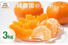 【先行予約】【数量限定】田縁農園の甘平（かんぺい）3kg ※離島への配送不可 （2026年1月25日より順次発送） 【 ふるさと納税 人気 おすすめ ランキング みかん ミカン 蜜柑 甘平 かんぺい フルーツ 果物 愛媛県産 田縁農園 愛媛県 伊方町 送料無料 】 IKTA016