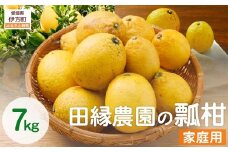 【数量限定】家庭用 瓢柑(7kg) 訳あり ※北海道・沖縄・離島への配送不可 （2026年4月1日より順次発送） 【 ふるさと納税 人気 おすすめ ランキング みかん ミカン 蜜柑 瓢柑 フルーツ 果物 訳あり 愛媛県産 田縁農園 愛媛県 伊方町 送料無料 】 IKTA021