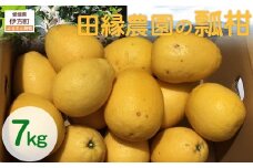 【先行予約】【数量限定】田縁農園の瓢柑（生果）7kg （2026年4月1日より順次発送） 【 ふるさと納税 人気 おすすめ ランキング みかん ミカン 蜜柑 瓢柑 フルーツ 果物 愛媛県産 田縁農園 愛媛県 伊方町 送料無料 】 IKTA023