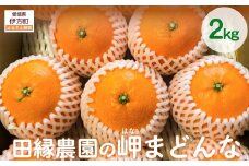 【先行予約】【数量限定】田縁農園の岬（はな）まどんな（生果）2kg （2025年11月25日より順次発送） 【 ふるさと納税 人気 おすすめ ランキング みかん ミカン 蜜柑 はなまどんな まどんな フルーツ 果物 愛媛県産 田縁農園 愛媛県 伊方町 送料無料 】 IKTA024