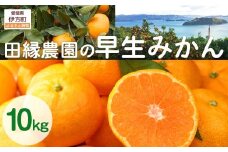 【数量限定/先行予約】田縁農園の早生みかん（生果）10kg ※離島への配送不可 （2025年11月10日より順次発送） 【 ふるさと納税 人気 おすすめ ランキング みかん ミカン 蜜柑 早生みかん フルーツ 果物 愛媛県産 田縁農園 愛媛県 伊方町 送料無料 】 IKTA026