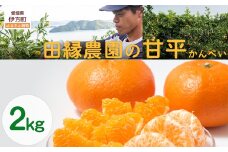 【先行予約】【数量限定】田縁農園の甘平（かんぺい）2kg ※離島への配送不可 （2026年1月25日より順次発送） 【 ふるさと納税 人気 おすすめ ランキング みかん ミカン 蜜柑 甘平 かんぺい フルーツ 果物 愛媛県産 田縁農園 愛媛県 伊方町 送料無料 】 IKTA028