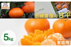 【先行予約】【家庭用】甘平 5kg ※離島への配送不可 （2026年1月25日より順次発送） 【 ふるさと納税 人気 おすすめ ランキング みかん ミカン 蜜柑 甘平 かんぺい フルーツ 果物 愛媛県産 田縁農園 愛媛県 伊方町 送料無料 】 IKTA031