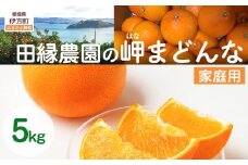 【先行予約】【家庭用】岬まどんな 5kg ※離島への配送不可 （2025年11月25日より順次発送） 【 ふるさと納税 人気 おすすめ ランキング みかん ミカン 蜜柑 はなまどんな まどんな フルーツ 果物 愛媛県産 田縁農園 愛媛県 伊方町 送料無料 】 IKTA033