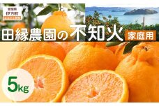 【先行予約】【家庭用】不知火 5kg ※離島への配送不可 （2026年2月10日より順次発送） 【 ふるさと納税 人気 おすすめ ランキング みかん ミカン 蜜柑 不知火 しらぬい フルーツ 果物 愛媛県産 田縁農園 愛媛県 伊方町 送料無料 】 IKTA035