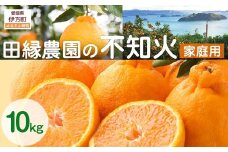 【先行予約】【家庭用】不知火 10kg ※離島への配送不可 （2026年2月10日より順次発送） 【 ふるさと納税 人気 おすすめ ランキング みかん ミカン 蜜柑 不知火 しらぬい フルーツ 果物 愛媛県産 田縁農園 愛媛県 伊方町 送料無料 】 IKTA036