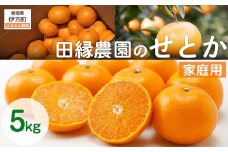【先行予約】【家庭用】せとか 5kg ※離島への配送不可 （2026年3月5日より順次発送） 【 ふるさと納税 人気 おすすめ ランキング みかん ミカン 蜜柑 せとか フルーツ 果物 愛媛県産 田縁農園 愛媛県 伊方町 送料無料 】 IKTA037