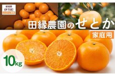【先行予約】【家庭用】せとか 10kg ※離島への配送不可 （2026年3月5日より順次発送） 【 ふるさと納税 人気 おすすめ ランキング みかん ミカン 蜜柑 せとか フルーツ 果物 愛媛県産 田縁農園 愛媛県 伊方町 送料無料 】 IKTA038