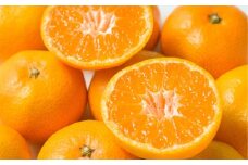 【先行予約】【家庭用】温州みかん 5kg ※離島への配送不可 （2025年11月10日より順次発送） 【 ふるさと納税 人気 おすすめ ランキング みかん ミカン 蜜柑 温州みかん 温州ミカン フルーツ 果物 愛媛県産 田縁農園 愛媛県 伊方町 送料無料 】 IKTA039