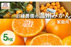 【先行予約】【家庭用】温州みかん 5kg ※離島への配送不可 （2025年11月10日より順次発送） 【 ふるさと納税 人気 おすすめ ランキング みかん ミカン 蜜柑 温州みかん 温州ミカン フルーツ 果物 愛媛県産 田縁農園 愛媛県 伊方町 送料無料 】 IKTA039