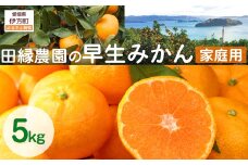 【先行予約】【家庭用】早生みかん 5kg ※離島への配送不可 （2025年11月10日より順次発送） 【 ふるさと納税 人気 おすすめ ランキング みかん ミカン 蜜柑 早生みかん 早生ミカン フルーツ 果物 愛媛県産 田縁農園 愛媛県 伊方町 送料無料 】 IKTA040
