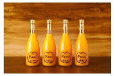 ジュース4種セット(ポンカン・みかん・不知火・清見)　※離島への配送不可 【 ふるさと納税 人気 おすすめ ランキング 柑橘 みかん ミカン 蜜柑 ジュース ミカンジュース みかんジュース ポンカン 不知火 清見 フルーツ 果物 産地直送 いのうえ農園 愛媛県産 愛媛県 伊方町 送料無料 】 IKTAI011