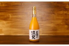 清見ジュース 720ml×6本 ※北海道、沖縄・離島への配送不可【 ふるさと納税 人気 おすすめ ランキング ジュース みかんジュース オレンジジュース 100％ 飲料 みかん ミカン 蜜柑 ドリンク ご当地 お土産 お取り寄せ 人気 糖度 みさき農園 愛媛県 伊方町 送料無料 】 IKTAP002