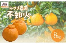 不知火 8kg ※北海道、沖縄・離島への配送不可（2026年3月上旬ごろから順次発送）【 ふるさと納税 人気 おすすめ ランキング みかん ミカン 蜜柑 柑橘 mikan 不知火 しらぬい 産地直送 果物 フルーツ 愛媛県産 みさき農園 愛媛県 伊方町 送料無料 】 IKTAP004