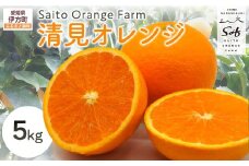 【先行予約】Saito Orange Farmの清見オレンジ5kg（2026年3月中旬頃より順次発送） 【 ふるさと納税 人気 おすすめ ランキング みかん ミカン 蜜柑 柑橘 清見 オレンジ 清見オレンジ フルーツ 果物 産地直送 西宇和 Saito Orange Farm 愛媛県産 愛媛県 伊方町 送料無料 】 IKTAQ007
