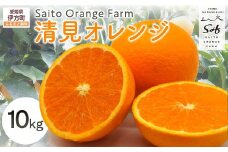 【先行予約】Saito Orange Farmの清見オレンジ10kg（2026年3月中旬頃より順次発送） 【 ふるさと納税 人気 おすすめ ランキング みかん ミカン 蜜柑 柑橘 清見 オレンジ 清見オレンジ フルーツ 果物 産地直送 西宇和 Saito Orange Farm 愛媛県産 愛媛県 伊方町 送料無料 】 IKTAQ008