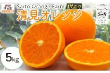 【先行予約】Saito Orange Farmの訳あり清見オレンジ5kg（2026年3月中旬頃より順次発送） 【 ふるさと納税 人気 おすすめ ランキング みかん ミカン 蜜柑 柑橘 清見 オレンジ 清見オレンジ フルーツ 果物 産地直送 訳あり 西宇和 Saito Orange Farm 愛媛県産 愛媛県 伊方町 送料無料 】 IKTAQ009