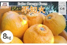 【先行予約】Saito Orange Farmの訳あり不知火8kg（2026年2月下旬頃より順次発送） 【 ふるさと納税 人気 おすすめ ランキング みかん ミカン 蜜柑 柑橘 不知火 しらぬい フルーツ 果物 産地直送 西宇和 Saito Orange Farm 訳あり 愛媛県産 愛媛県 伊方町 送料無料 】 IKTAQ012