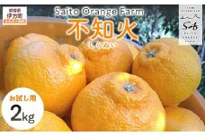 【先行予約】【お試し！】Saito Orange Farmの不知火2kg（2026年2月下旬頃より順次発送） 【 ふるさと納税 人気 おすすめ ランキング みかん ミカン 蜜柑 柑橘 不知火 しらぬい フルーツ 果物 産地直送 お試し 西宇和 Saito Orange Farm 愛媛県産 愛媛県 伊方町 送料無料 】 IKTAQ013