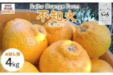 【先行予約】【お試し！】Saito Orange Farmの不知火4kg（2026年2月下旬頃より順次発送） 【 ふるさと納税 人気 おすすめ ランキング みかん ミカン 蜜柑 柑橘 不知火 しらぬい フルーツ 果物 産地直送 お試し 西宇和 Saito Orange Farm 愛媛県産 愛媛県 伊方町 送料無料 】 IKTAQ014