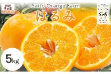 【先行予約】Saito Orange Farmのはるみ5kg（2026年2月上中旬頃より順次発送） 【 ふるさと納税 人気 おすすめ ランキング みかん ミカン 蜜柑 柑橘 はるみ フルーツ 果物 産地直送 西宇和 Saito Orange Farm 愛媛県産 愛媛県 伊方町 送料無料 】 IKTAQ016