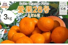 【先行予約】【数量限定】Saito Orange Farmの愛果28号（まどんな）3kg（2026年1月下旬頃より順次発送） 【 ふるさと納税 人気 おすすめ ランキング みかん ミカン 蜜柑 柑橘 愛果28号 フルーツ 果物 産地直送 西宇和 Saito Orange Farm 愛媛県産 愛媛県 伊方町 送料無料 】 IKTAQ017