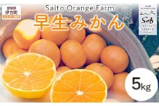 【先行予約】Saito Orange Farmの早生(わせ)みかん5kg（2025年11月下旬頃より順次発送） 【 ふるさと納税 人気 おすすめ ランキング みかん ミカン 蜜柑 柑橘 早生みかん 早生ミカン フルーツ 果物 産地直送 西宇和 Saito Orange Farm 愛媛県産 愛媛県 伊方町 送料無料 】 IKTAQ020