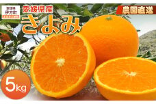 【栽培期間中農薬不使用】【先行受付】【数量限定】農園直送！愛媛県産 きよみ 5kg （2026年2月下旬頃より順次発送） 【 ふるさと納税 人気 おすすめ ランキング 柑橘 みかん ミカン 蜜柑 きよみ フルーツ 果物 産地直送 ギフト 贈り物 栽培期間中農薬不使用 木野本農園 愛媛県産 愛媛県 伊方町 送料無料 】 IKTG021