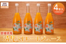 【栽培期間中農薬不使用】清見ストレートジュース 720ml×4本入り ※離島への配送不可 【 ふるさと納税 人気 おすすめ ランキング 柑橘 みかん ミカン 蜜柑 ジュース ミカンジュース オレンジジュース 清見ストレートジュース 清見タンゴール フルーツ 果物 産地直送 ギフト 贈り物 栽培期間中農薬不使用 木野本農園 愛媛県 伊方町 送料無料 】 IKTG031
