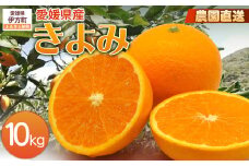【栽培期間中農薬不使用】【先行受付】【数量限定】農園直送！愛媛県産 きよみ 10kg （2026年2月下旬頃より順次発送） 【 ふるさと納税 人気 おすすめ ランキング 柑橘 みかん ミカン 蜜柑 きよみ フルーツ 果物 産地直送 ギフト 贈り物 栽培期間中農薬不使用 木野本農園 愛媛県産 愛媛県 伊方町 送料無料 】 IKTG022
