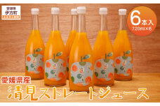 【栽培期間中農薬不使用】清見ストレートジュース 720ml×6本入り ※離島への配送不可 【 ふるさと納税 人気 おすすめ ランキング 柑橘 みかん ミカン 蜜柑 ジュース ミカンジュース オレンジジュース 清見ストレートジュース 清見タンゴール フルーツ 果物 産地直送 ギフト 贈り物 栽培期間中農薬不使用 木野本農園 愛媛県 伊方町 送料無料 】 IKTG032
