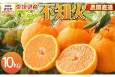 【栽培期間中農薬不使用】【先行受付】【数量限定】農園直送！愛媛県産不知火 10kg （2026年1月上旬頃より順次発送） 【ふるさと納税 人気 おすすめ ランキング 柑橘 みかん ミカン 蜜柑 不知火 しらぬい フルーツ 果物 産地直送 ギフト 贈り物 栽培期間中農薬不使用 木野本農園 愛媛県産 愛媛県 伊方町 送料無料】 IKTG008